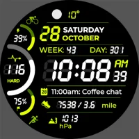 Chester Neo watch face