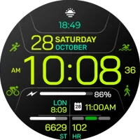 Chester Inform MOD watch face
